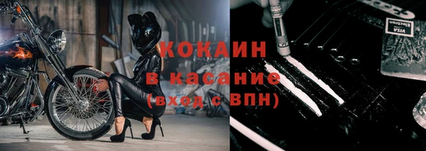 индика Покровск