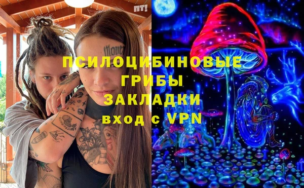 амф Алзамай