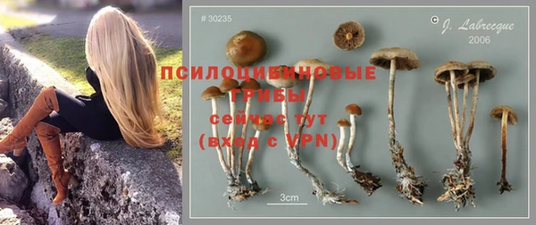 гашик Алексеевка