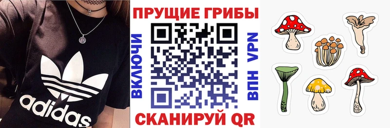 Галлюциногенные грибы мицелий  Зеленоградск 